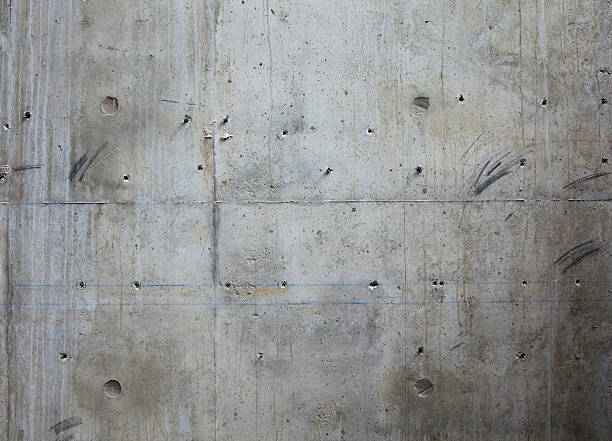 Best Custom Concrete Contractor  in Meadow Lake, NM